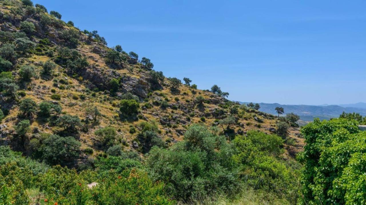 Casa Rural La Teja El Chorro Exteriör bild